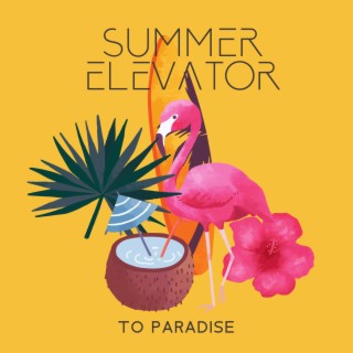 Summer Elevator To Paradise