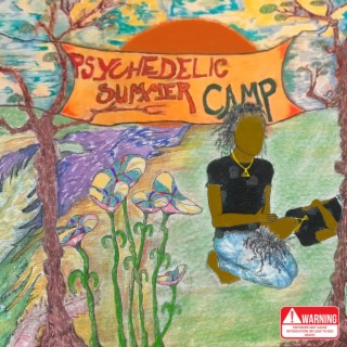 Psychedelic Summer Camp