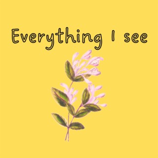 Everything I see