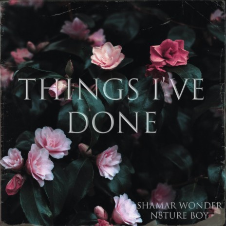 Things I've Done | Boomplay Music