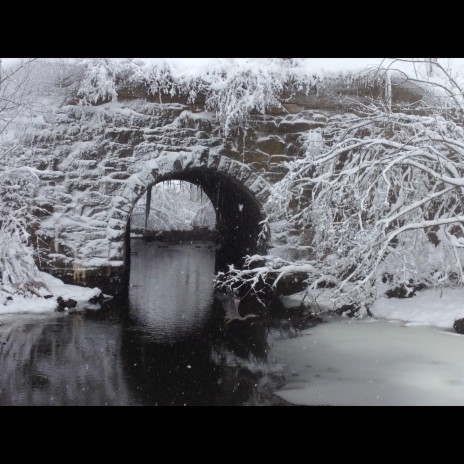 I Took a Walk Through Snowy Wood | Boomplay Music