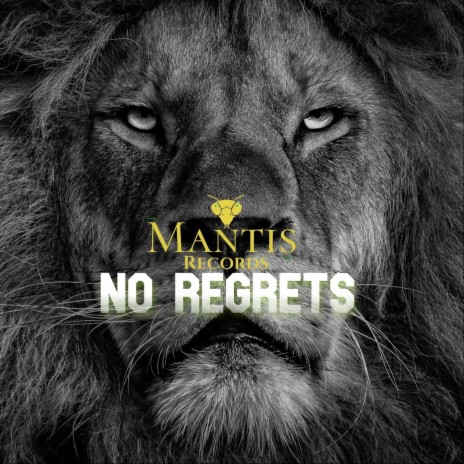 No Regrets | Boomplay Music