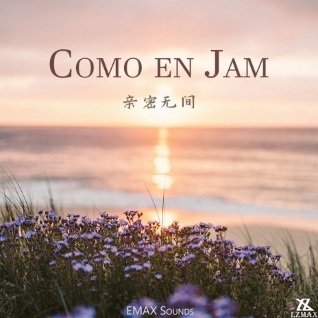 Como en Jam（亲密无间）