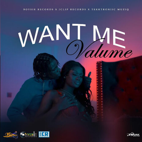 Want Me ft. Boysie Records, iClips Records & Tekktroniic | Boomplay Music