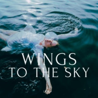Wings to the sky