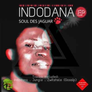 Indodana