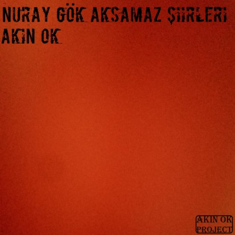 Nuray Gök Aksamaz Şiirleri | Boomplay Music