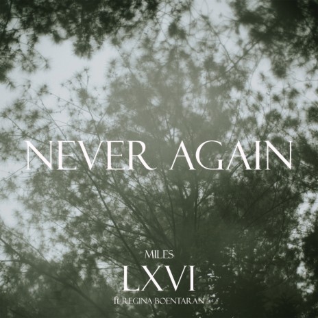 Never Again ft. Regina Boentaran | Boomplay Music