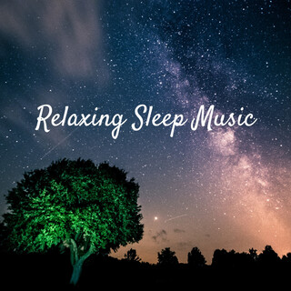 Relaxing Sleep Music