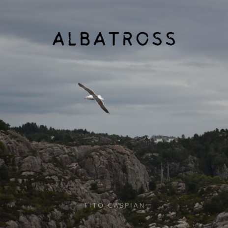 Albatross (Arr. for Guitar)