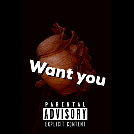 Want You | Boomplay Music