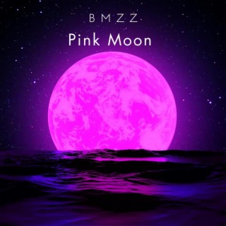 Pink Moon