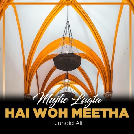 Mujhe Lagta Hai Woh Meetha | Boomplay Music