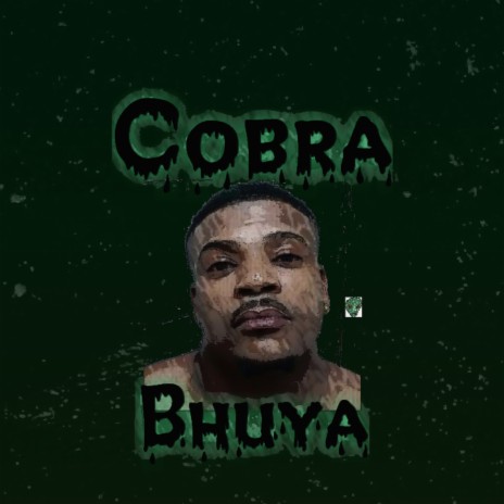 Cobra | Boomplay Music