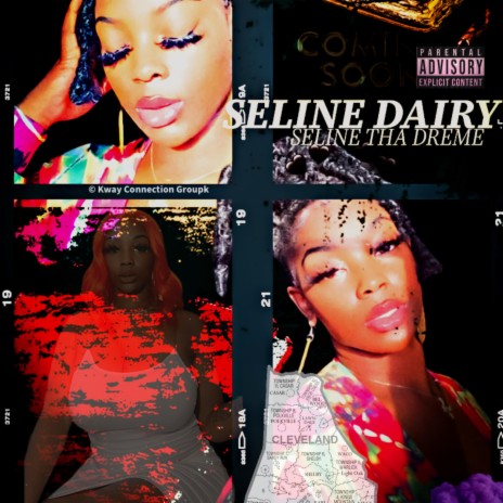 Seline's Dairy | Boomplay Music