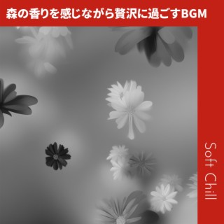 森の香りを感じながら贅沢に過ごすBGM