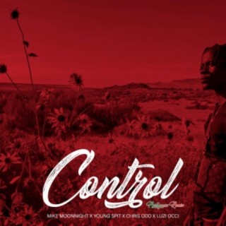 Control (Portuguese Remix)