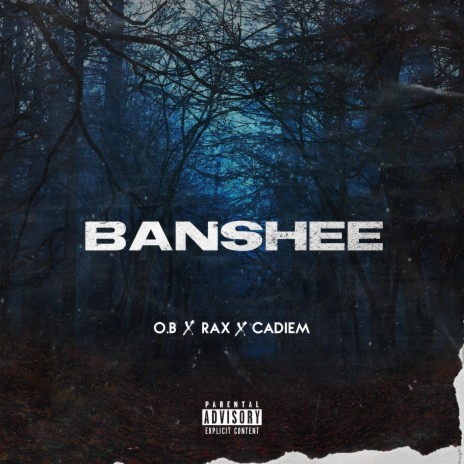 Banshee ft. Spectrax | Boomplay Music