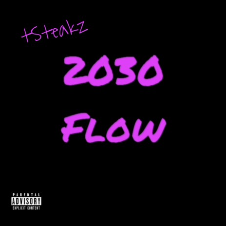 2030 flow