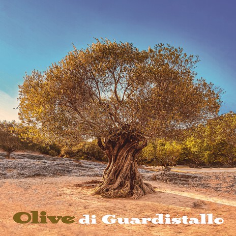 Olive di Guardistallo ft. Rami Attallah & Didi Lowka | Boomplay Music