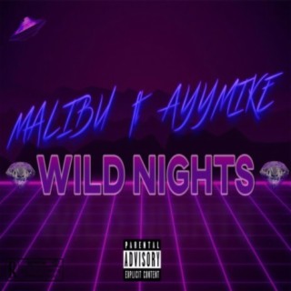 Wild Nights (feat. AyyMike)