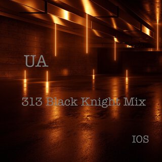 313 (Black Knight Mix)