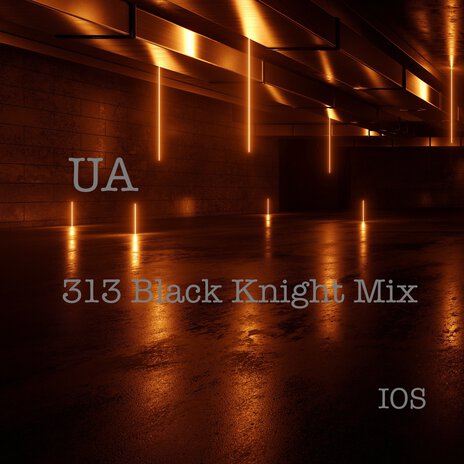 313 (Black Knight Mix) | Boomplay Music