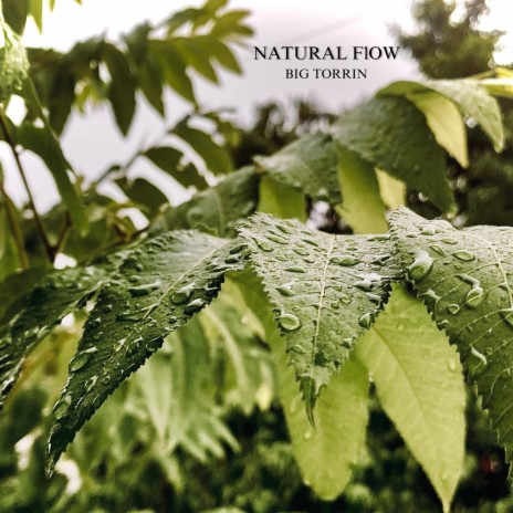 Natural Flow