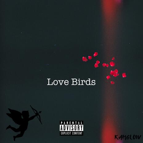 Love Birds | Boomplay Music