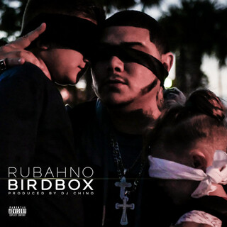 BIRDBOX