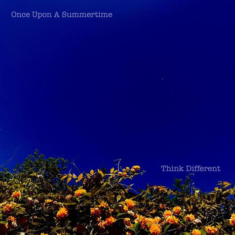 Once Upon A Summertime | Boomplay Music