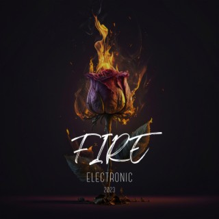 Fire Electronic 2023