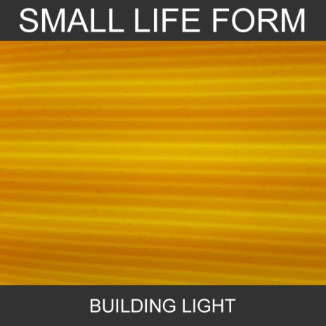 Building Light | Boomplay Music