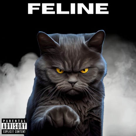 Feline | Boomplay Music