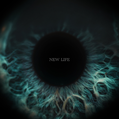 New Life (Original Maasai Recording) | Boomplay Music