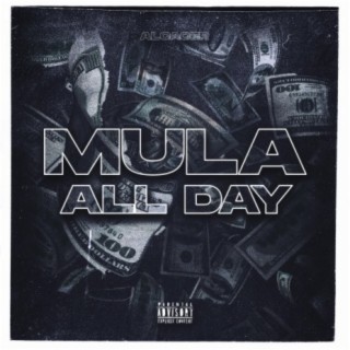 Mula All Day