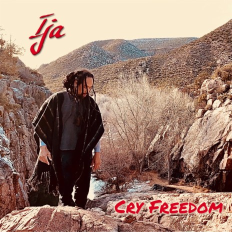 Cry Freedom | Boomplay Music