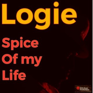 Spice Of My Life