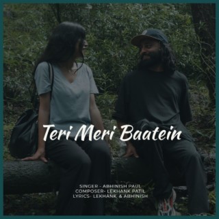 Teri Meri Baatein