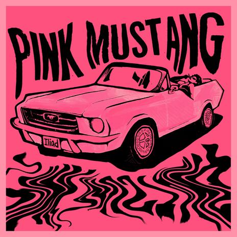 Pink Mustang | Boomplay Music