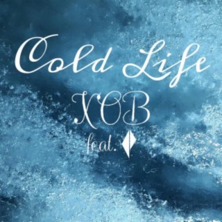 Cold Life (feat. Ekterp)