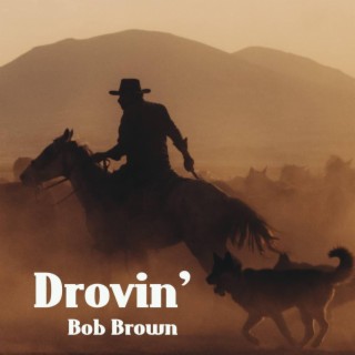Drovin' lyrics | Boomplay Music