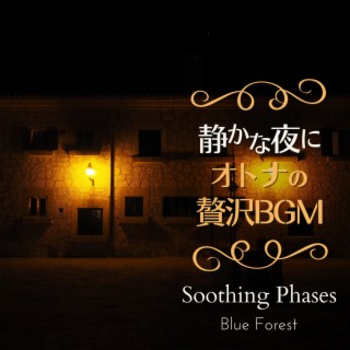 静かな夜に〜大人の贅沢bgm〜 - Soothing Phases