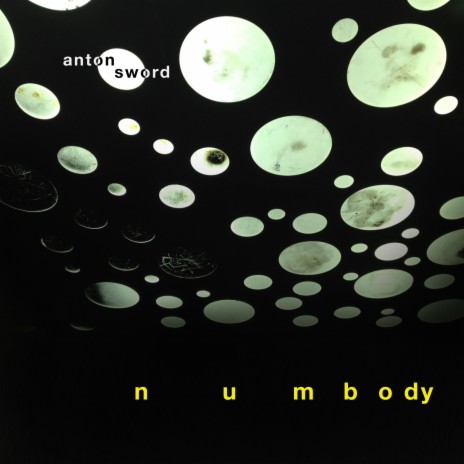 Numbody | Boomplay Music