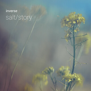 Salt / Story