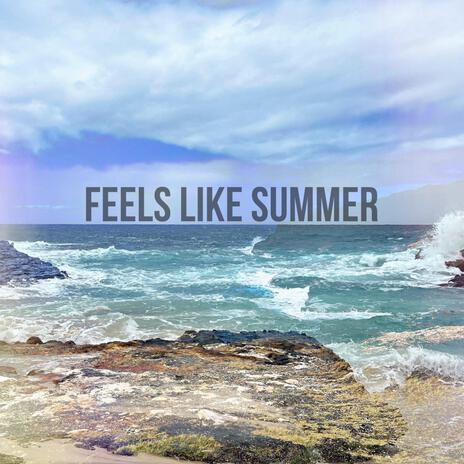 FEELS LIKE SUMMER ft. Lunarpanels | Boomplay Music