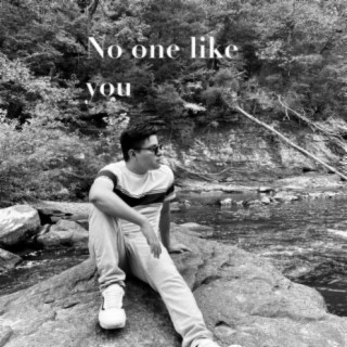 No One Like You lyrics | Boomplay Music