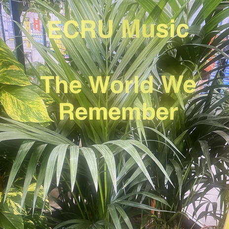 The World We Remember (Demo) | Boomplay Music