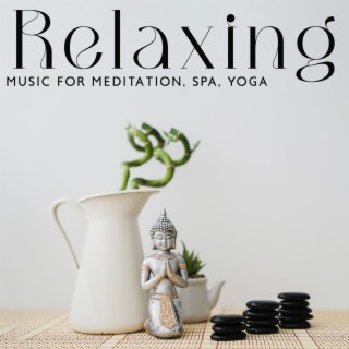 vVv Relaxing Music for Meditation, Spa, Yoga vVv