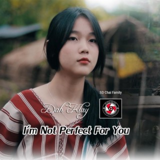 Karen Song I'm Not Perfect For You